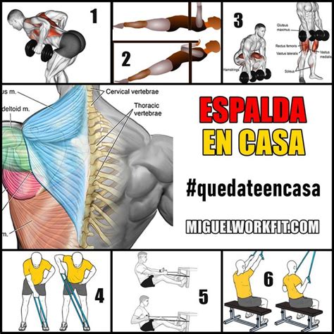 Ejercicios Para Entrenar La Espalda En Casa Rutina Para Espalda