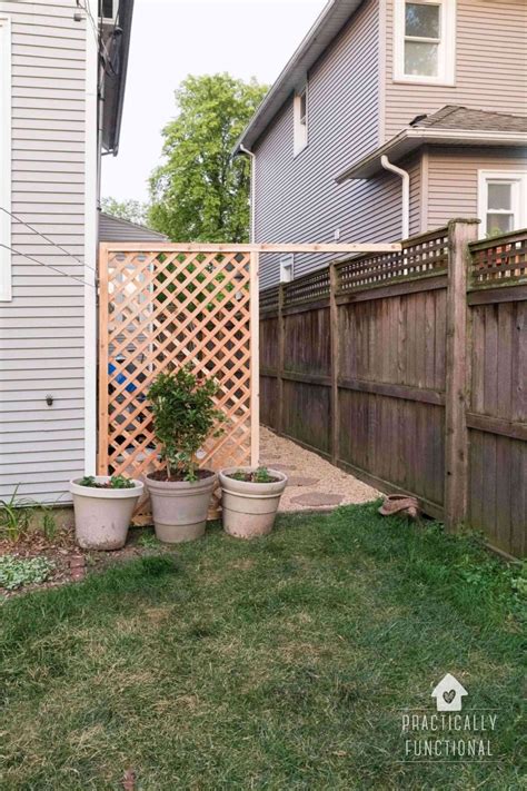 Trellis Backyard Privacy Screen - For DIYers