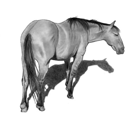 Pencil Drawing of Horse Running Stock Photo by ©joyart 1469931