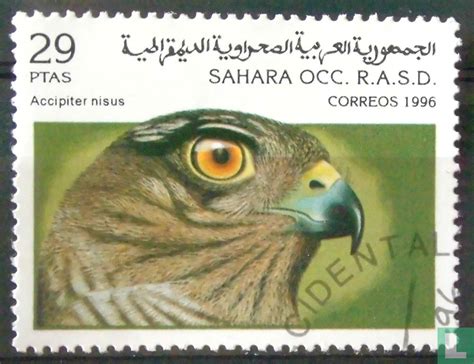 Oiseaux De Proie Sahara Occidental Timbres Ill Gaux