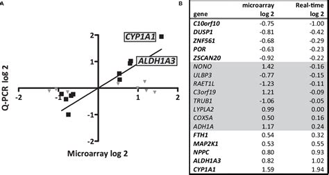 Figure 1 From Streptococcus Gallolyticus Increases Expression And