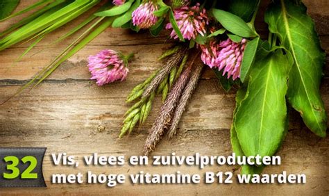 Vitamine B12 Aanbevolen Dagelijkse Hoeveelheid In 32 Producten