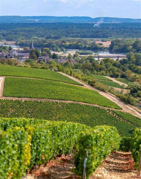 Conna Tre Les Vignobles De Bourgogne La Bourgogne