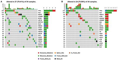 Frontiers The Genomic Characteristics Of Alk Fusion Positive Tumors