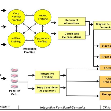 Schematic Representation Of The Different Aspects Of Integrative