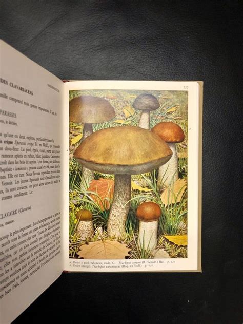 Livre Ancien Champignons Kaufen Auf Ricardo