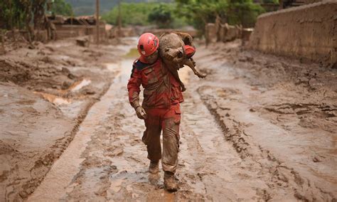 Rompimento De Barragem Em Brumadinho Acontece Tr S Anos Depois De