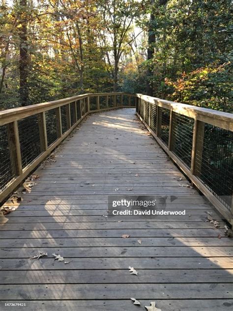 Congaree National Park South Carolina High-Res Stock Photo - Getty Images