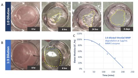 Vitrogel® Mmp Hydrogel For 3d Cell Culture Thewell Bioscience