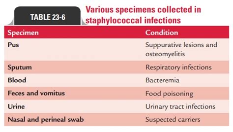 Laboratory Diagnosis Of Staphylococcal Infections Staphylococcus Aureus