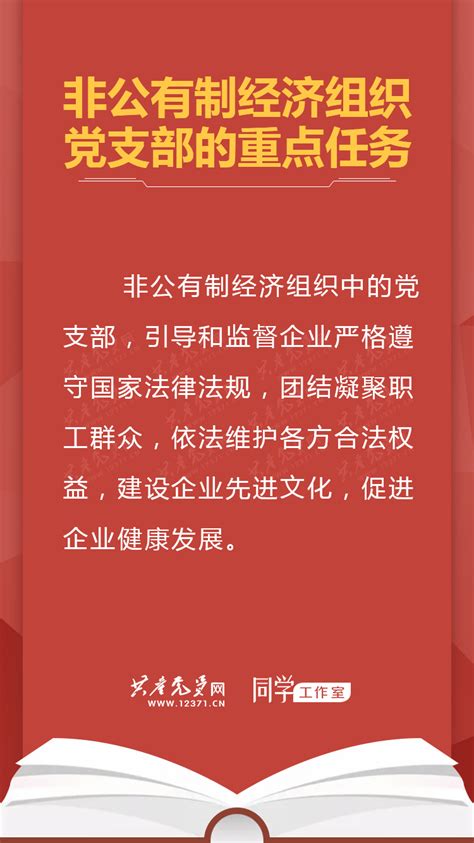 《中国共产党支部工作条例（试行）》学习手册 非公有制经济组织党支部的重点任务 共产党员网