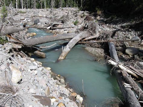 Pacific Crest Trail Pct Section K Stevens Pass East To Rainy Pass White Chuck Bench