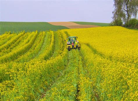 Quest Ce Que Lagriculture De Conservation