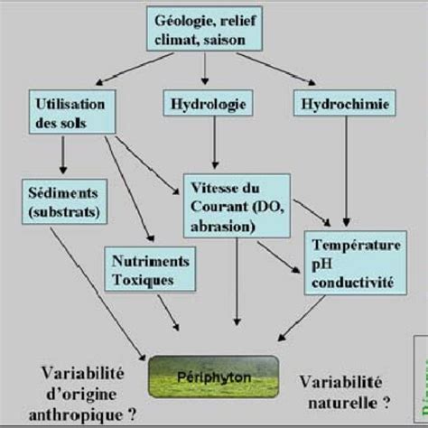 Les Divers Niveaux De Complexit Biologique Concernant Les Approches