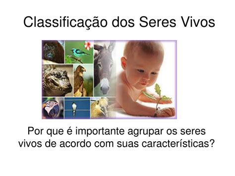 Ppt Classifica O Dos Seres Vivos Powerpoint Presentation Free