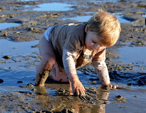 muddy puddles  moreton bay