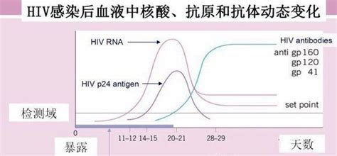 【知识】艾滋病检测试剂，三代和四代有什么区别？