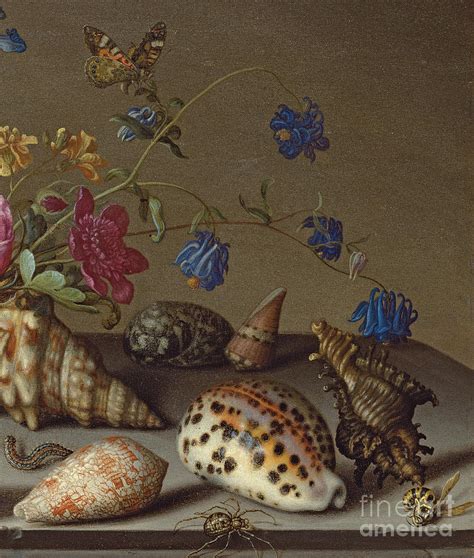 Flowers, shells and insects on a stone ledge Painting by Balthasar van der Ast | Fine Art America