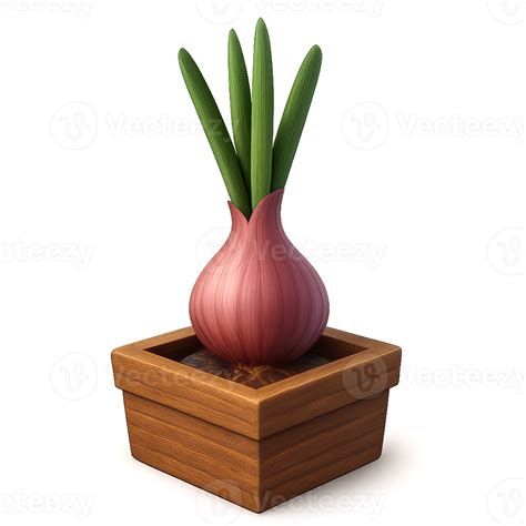 Simple 3D Shallot Plant in Wooden Pot with Green Leaves 66571008 PNG