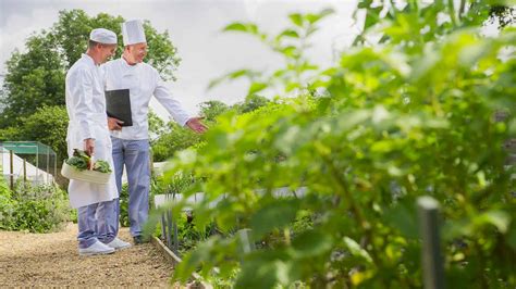 Alimentos Y Bebidas Para Negocios Nestlé Professional