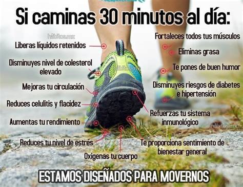 Los Beneficios De Caminar Y Del Senderismo Estilo De Vida Saludable