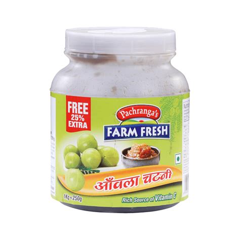 Amla Chutney Farm Fresh 1KG