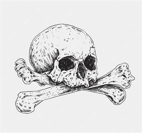 Premium Vector Skull And Crossbones Realistic Drawing Illustration