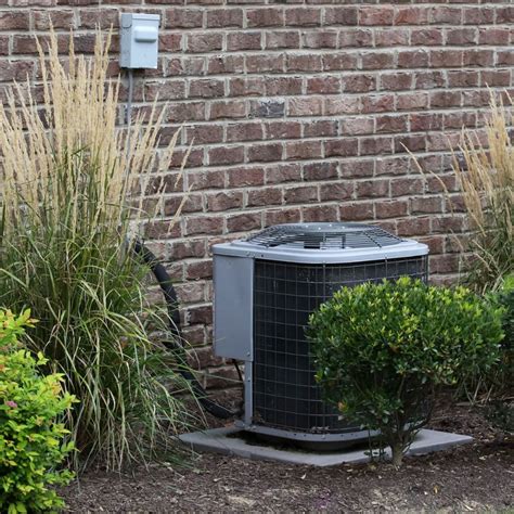 Best Tips For Landscaping Around Your Ac Unit