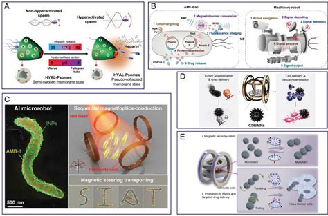 Application Examples Of Other Types Of Cell‐based Micro Nano‐robots A