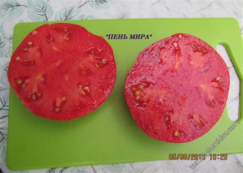 Помидоры Пень Описание Сорта Фото Отзывы Садоводов – Telegraph