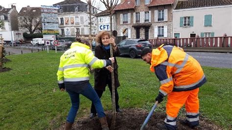 Remplacer Le Bitume Par Le Vert Le Voeu Du Maire De Melun Fait