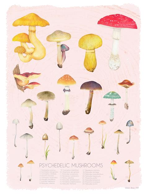 Psychedelic Mushroom Illustration Poster Etsy