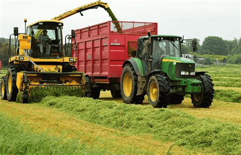 What Is Corn Silage Best Guideline Of Corn Silage For