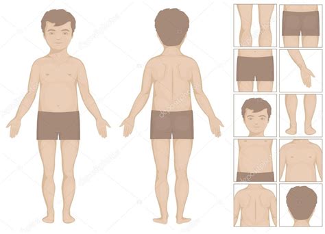 Partes Del Cuerpo Humanas O Masculinas Ilustraci N De Dibujos Animados