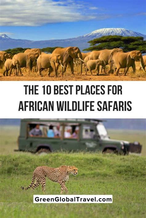 The 10 Best Places for African Safari Tours - Green Global Travel