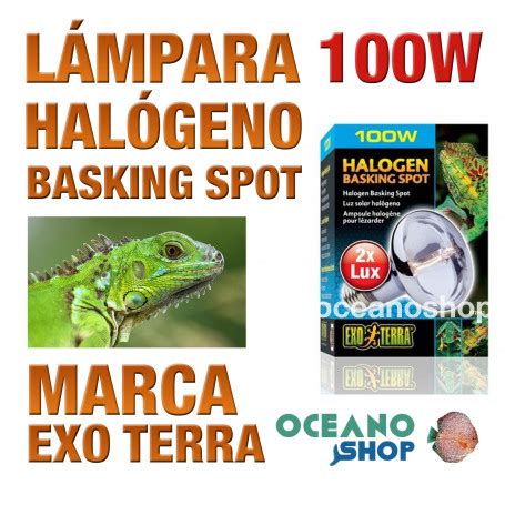 L Mpara Reptiles Hal Geno Basking Spot W Exo Terra