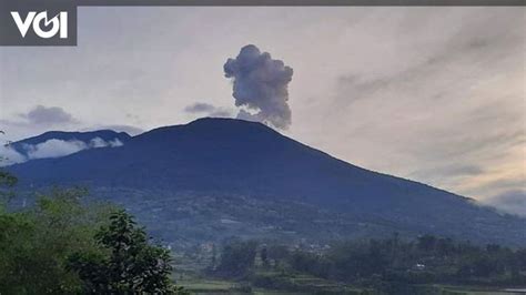 Abu Erupsi Gunung Marapi Mulai Hujani Lahan Pertanian Di Tanah Datar