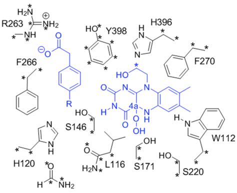 Figure S1 Schematic Representation Of The Active Site Model Substrate