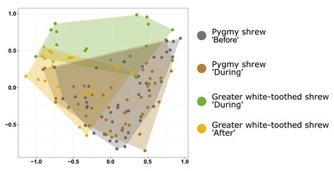 How dietary competition leads to a native shrew being rapidly replaced