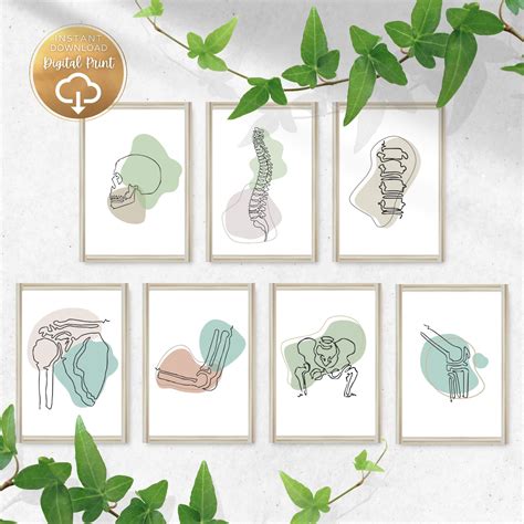 Chiropractic Wall Art Set Is Perfect For Chiropractic Office Decor And