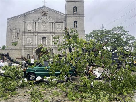 Century Old Tree Felled By Aghon In Taytay Rizal