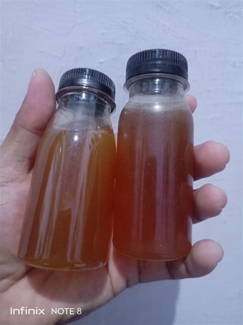 Madu Klanceng 100 Murni 1kg Madu Bambu Liar Madu Trigona Lazada