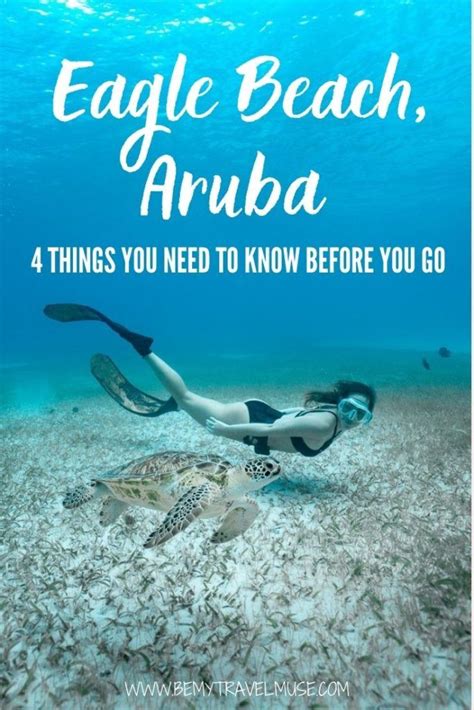 Eagle Beach in Aruba: What to Know Before You Go