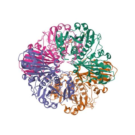 Rcsb Pdb Pkq Crystal Structure Of The Photosynthetic A B