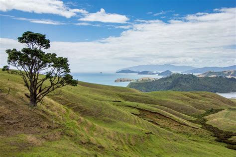 Drive From Auckland To Coromandel Peninsula New Zealand Wide Angle