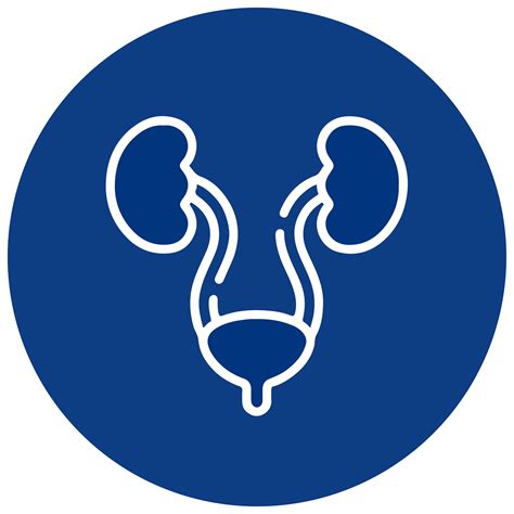 Urologie Icoon Nieren Gratis Vectorafbeelding Op Pixabay