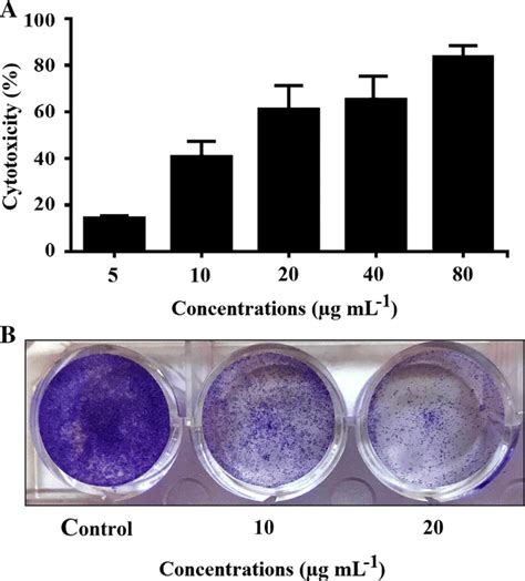 Cytotoxicity Assay Against Mcf Cell Line A Mtt Assay Of Mcf Cells