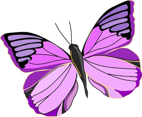 Butterfly Png Transparent Images Free Download Pngfre Clip Art Library