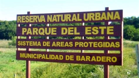 Baradero Plantar N Mil Ejemplares De Especies Nativas En La Reserva