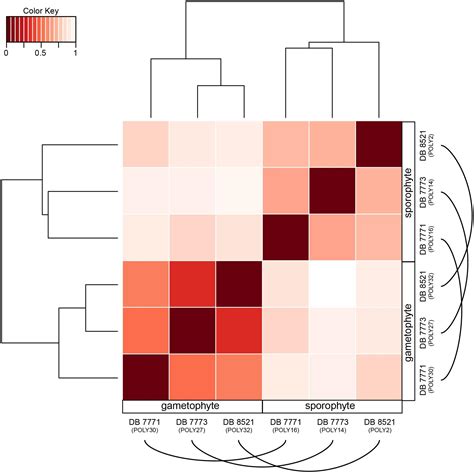 Frontiers Overlapping Patterns Of Gene Expression Between Gametophyte